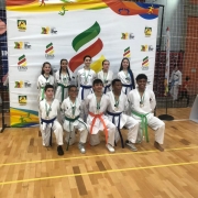 Os campeões do taekwondo posam com suas medalhas