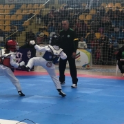 Luta de taekwondo em Esteio