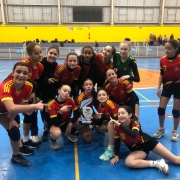 As campeãs do handebol: Colégio Sinodal Tiradentes