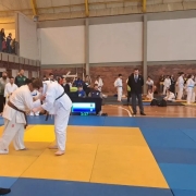 Campeonato Citadino de Judô